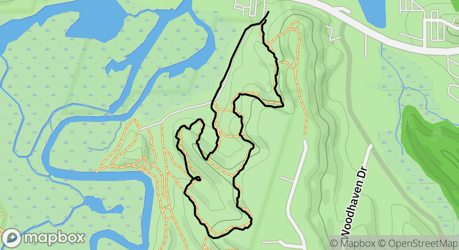 Mapbox Map