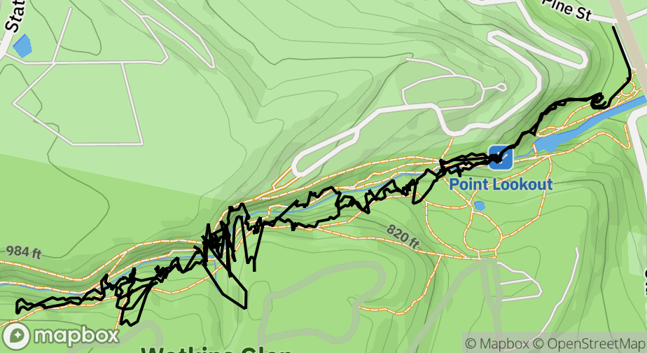 Mapbox Map